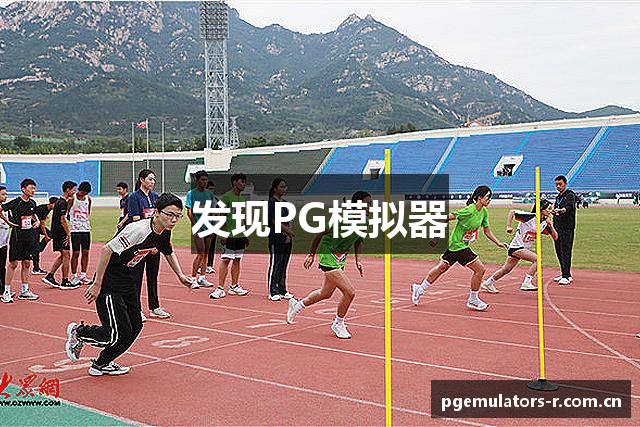 发现PG模拟器